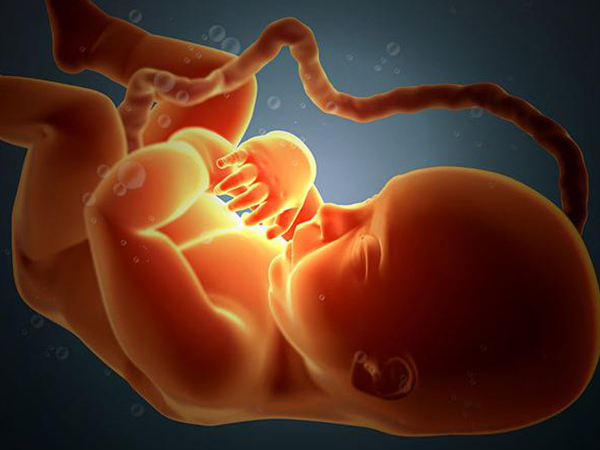 胎儿胎停育的原因有很多